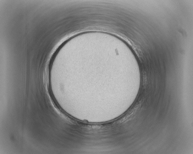 X0000115781515200912111116