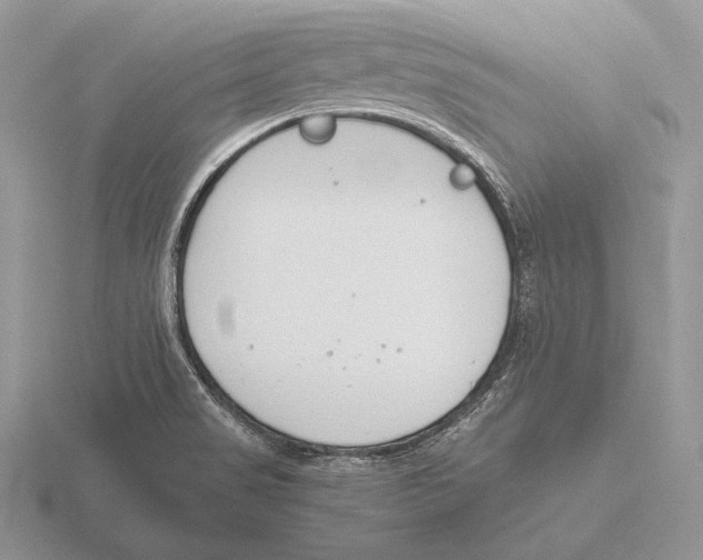 X0000115781517200912111116