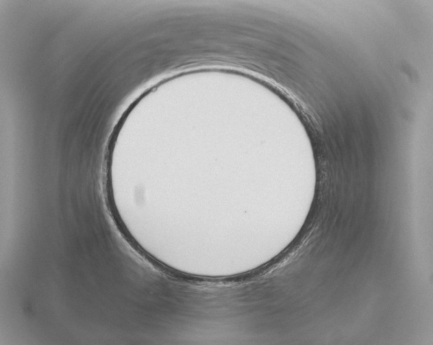 X0000115781518200912111116