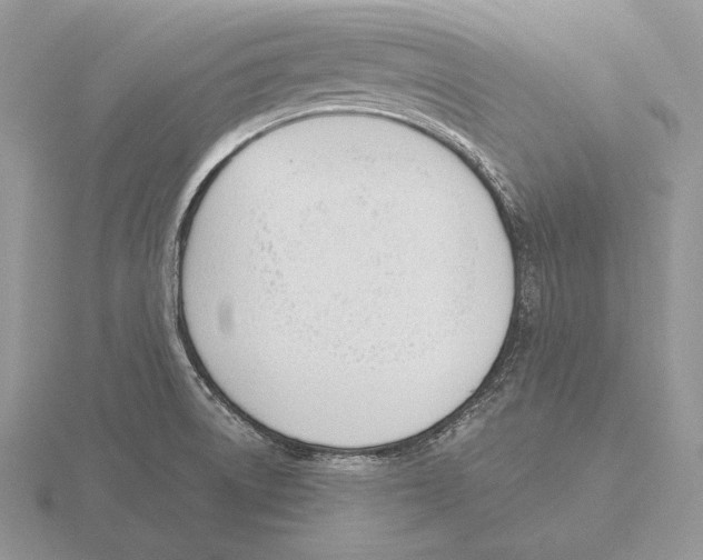 X0000115781522200912111116