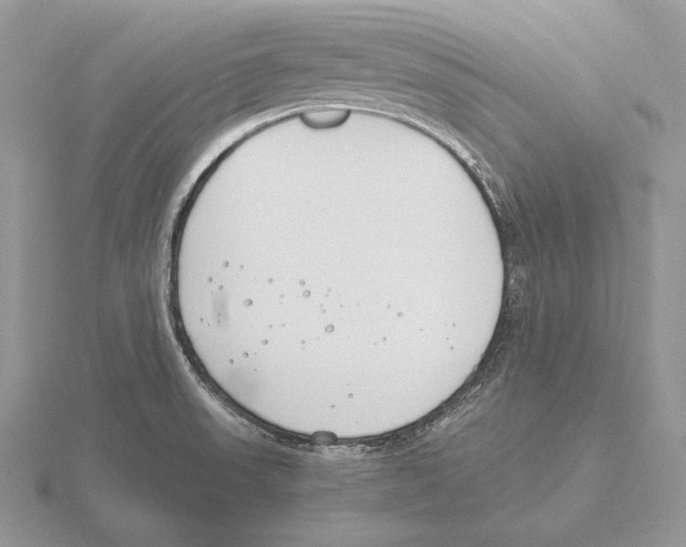 X0000115781523200912111116