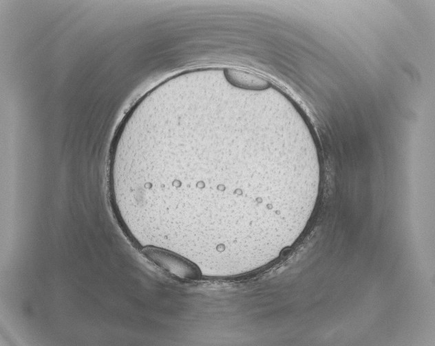 X0000115781525200912111116