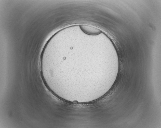 X0000115781527200912111116