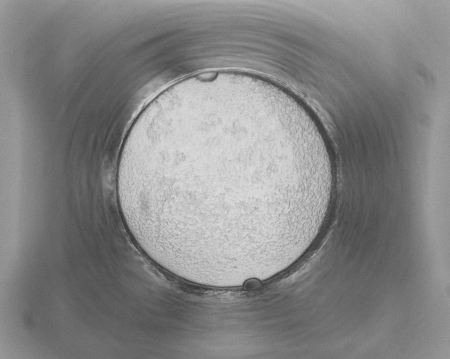 X0000115781529200912111116