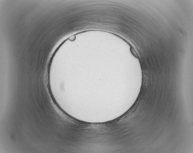 X0000115781531200912111116