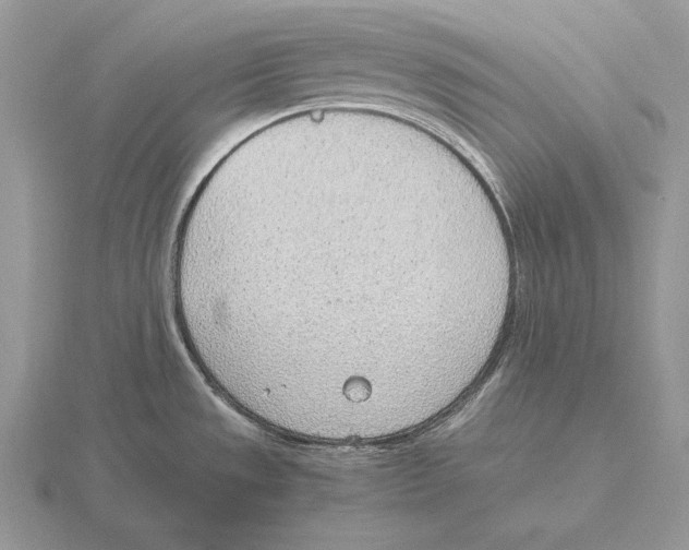 X0000115781533200912111116