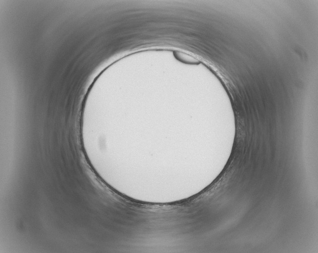 X0000115781534200912111116