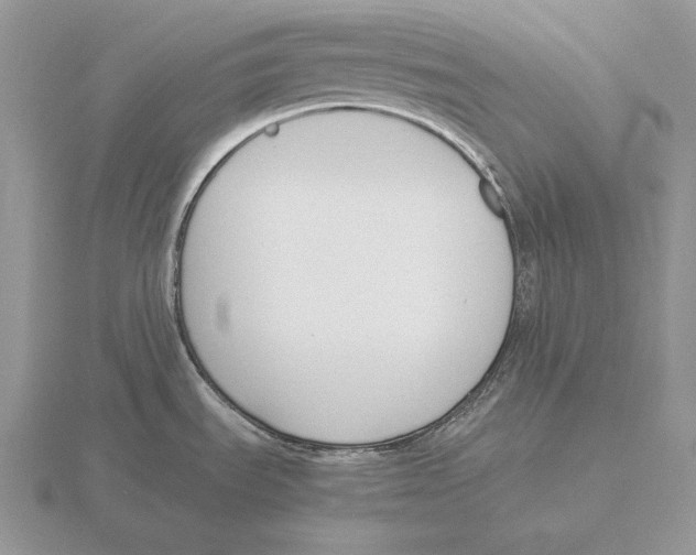 X0000115781535200912111116