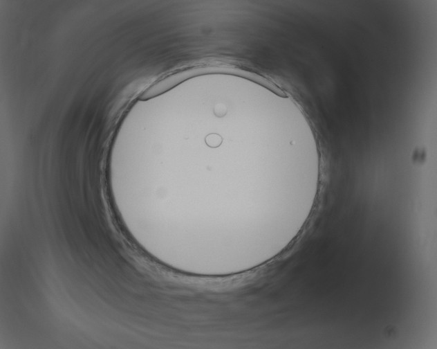 X0000115780001200912241820