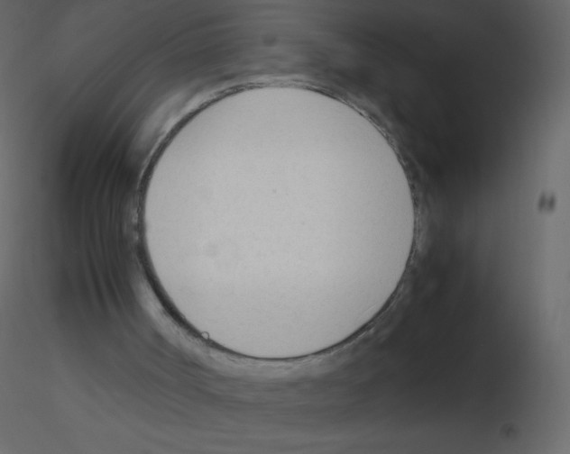 X0000115780002200912241820