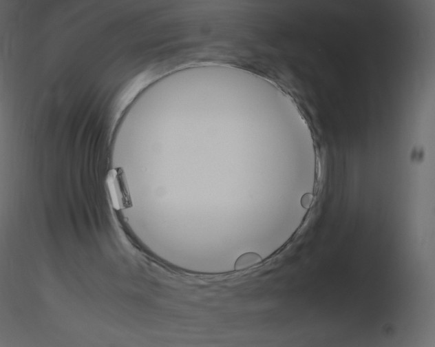 X0000115780003200912241820