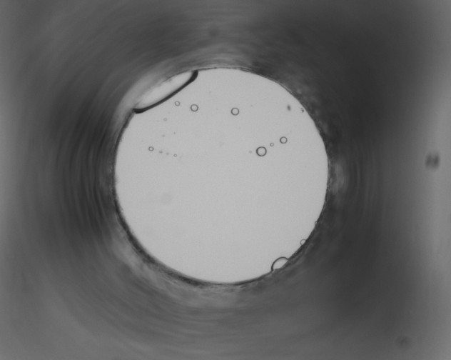 X0000115780004200912241820