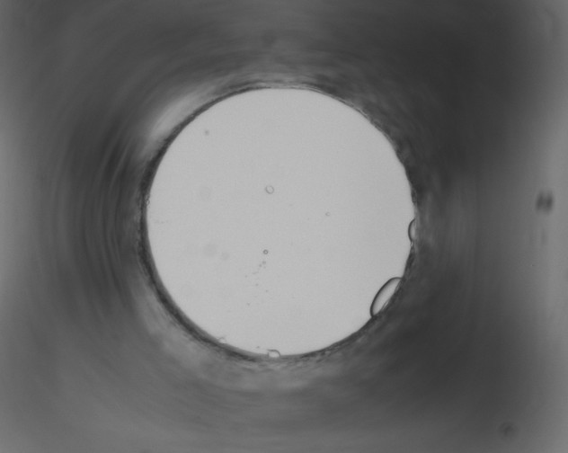 X0000115780005200912241820