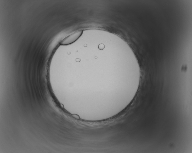 X0000115780006200912241820