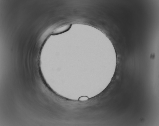 X0000115780007200912241820