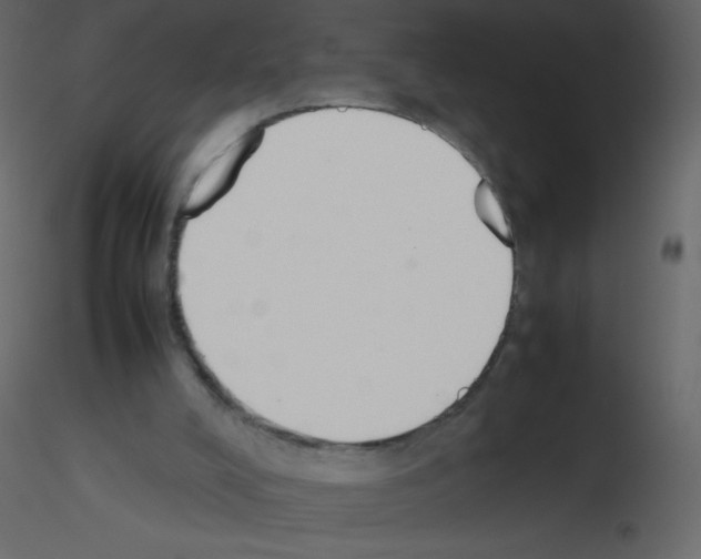 X0000115780008200912241820