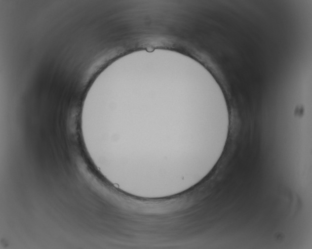 X0000115780010200912241820