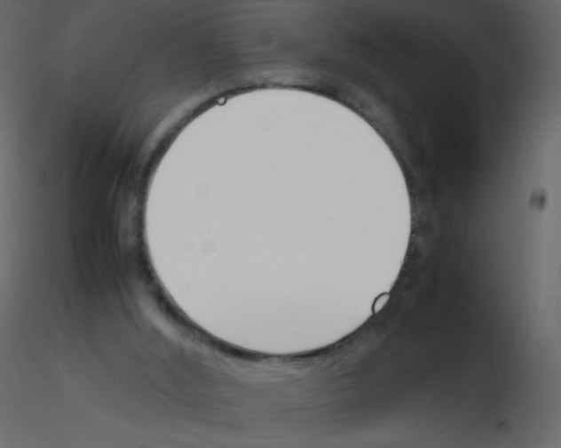 X0000115780012200912241820