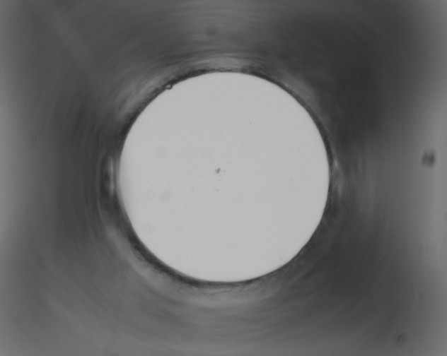 X0000115780013200912241820