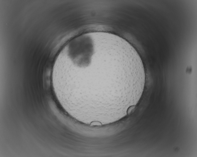 X0000115780014200912241820