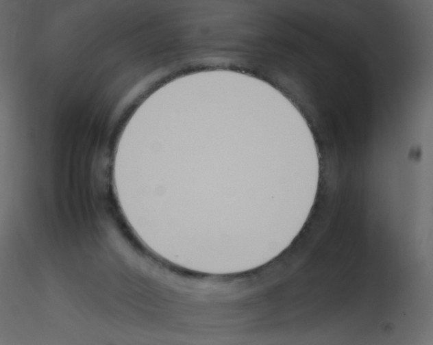 X0000115780016200912241820