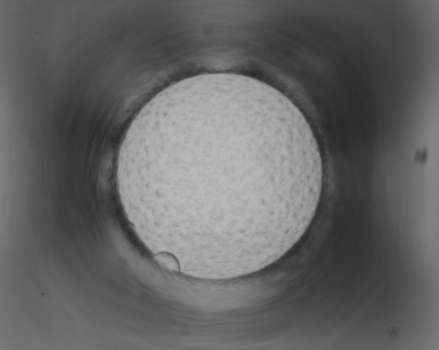 X0000115780018200912241820