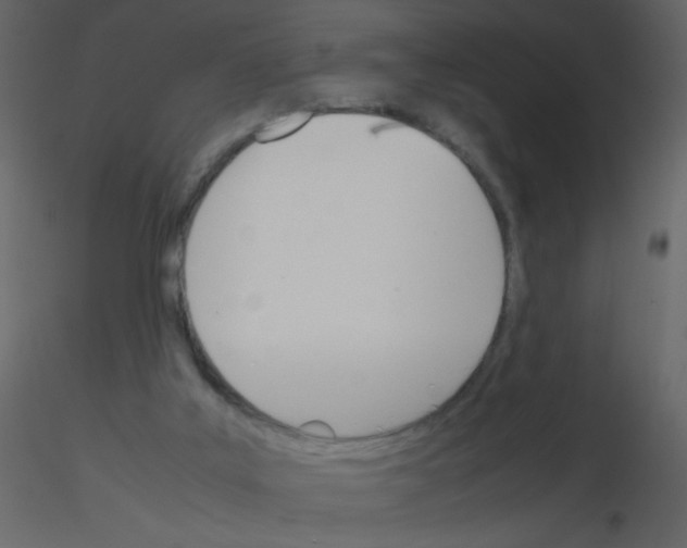 X0000115780019200912241820