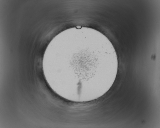 X0000115780021200912241820