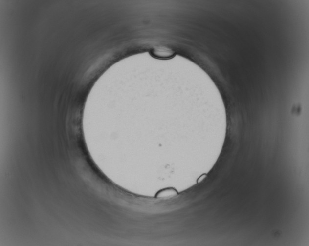 X0000115780023200912241820