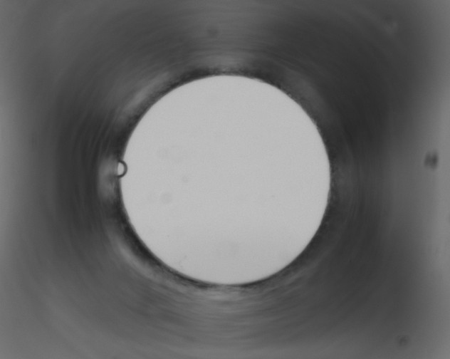 X0000115780024200912241820