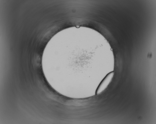 X0000115780025200912241820