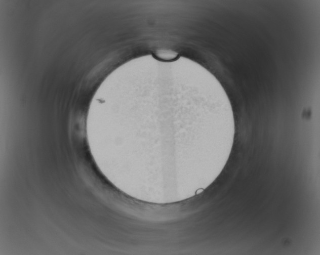 X0000115780027200912241820