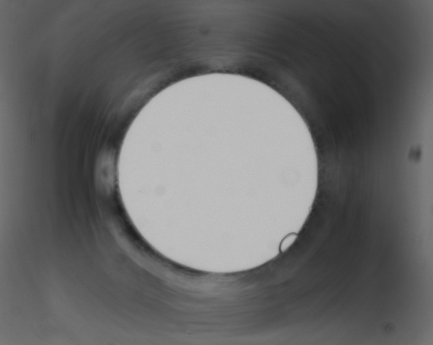 X0000115780028200912241820