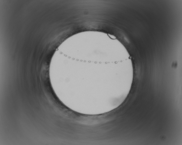 X0000115780029200912241820