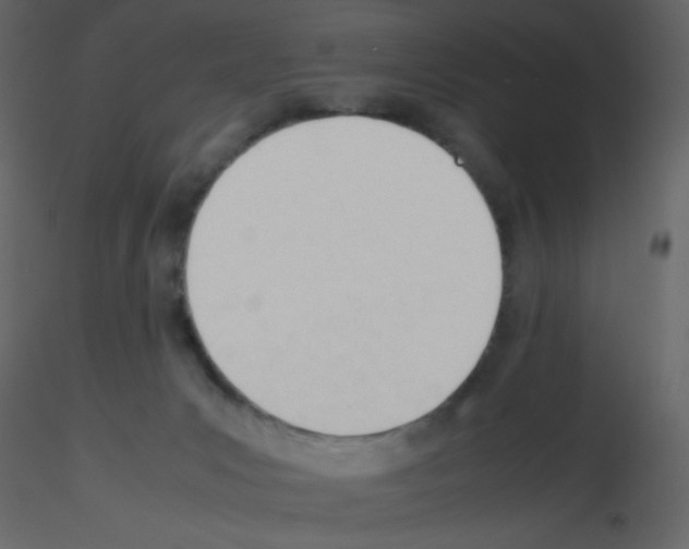 X0000115780031200912241820