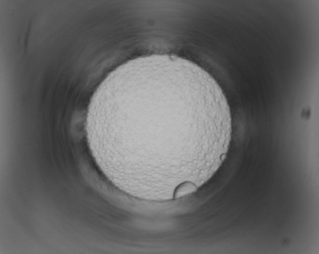 X0000115780034200912241820