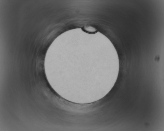 X0000115780035200912241820