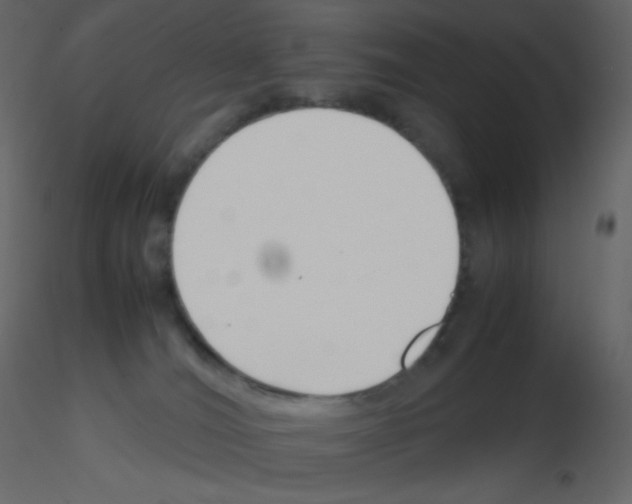 X0000115780036200912241820