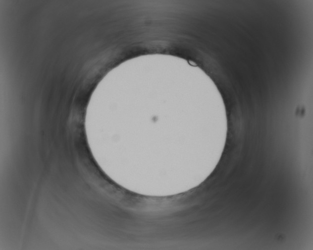 X0000115780037200912241820