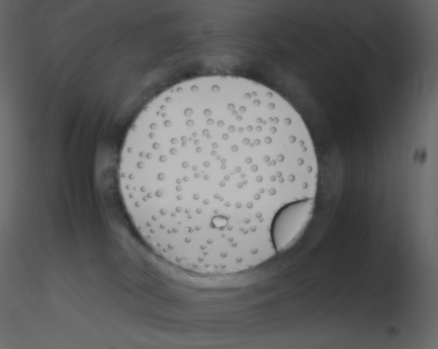 X0000115780038200912241820