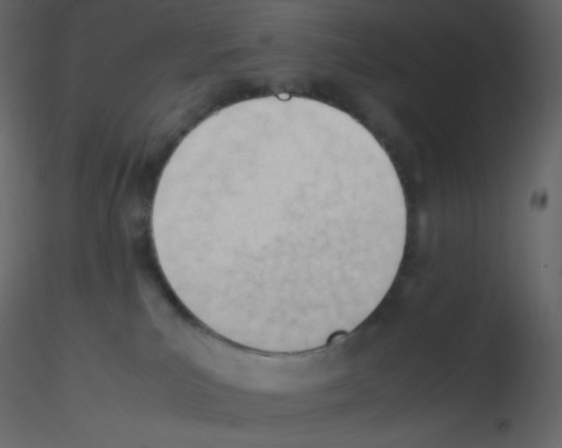 X0000115780039200912241820