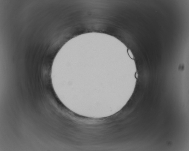 X0000115780040200912241820