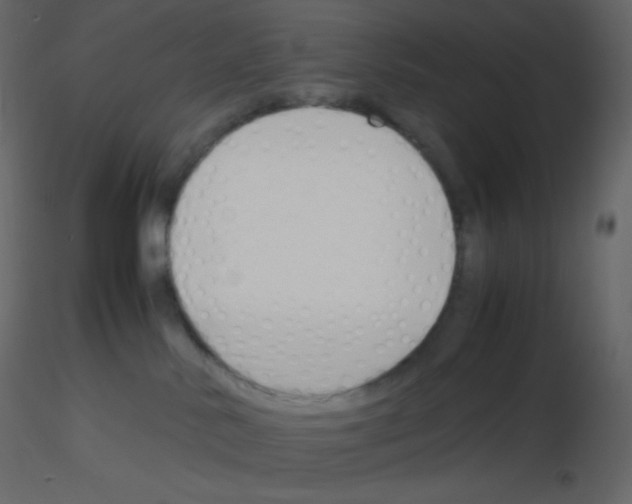 X0000115780042200912241820