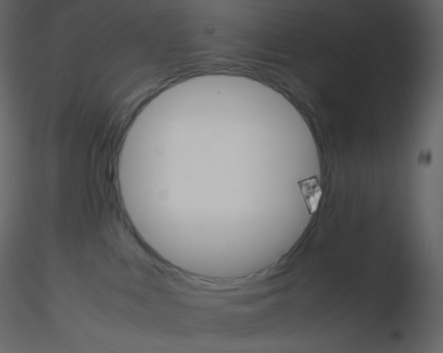 X0000115780043200912241820