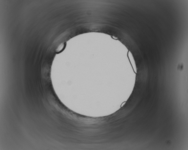 X0000115780044200912241820