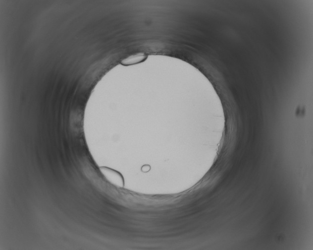 X0000115780048200912241820