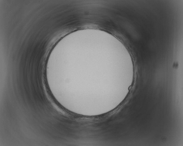 X0000115780049200912241819