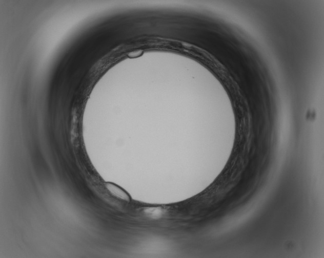 X0000115780050200912241819