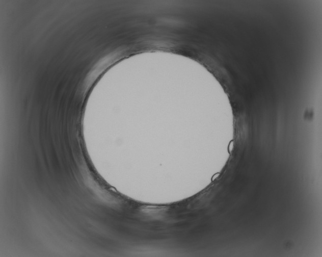 X0000115780051200912241819