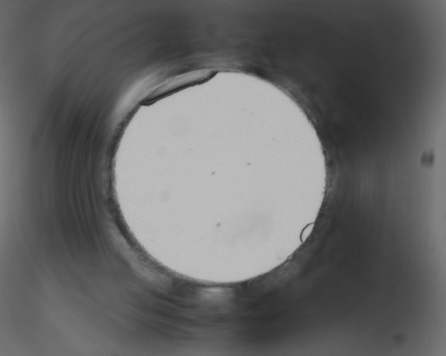 X0000115780053200912241819